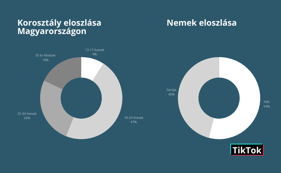 TikTok statisztikák Magyarországon2