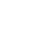 beonweb_logo_butterfly